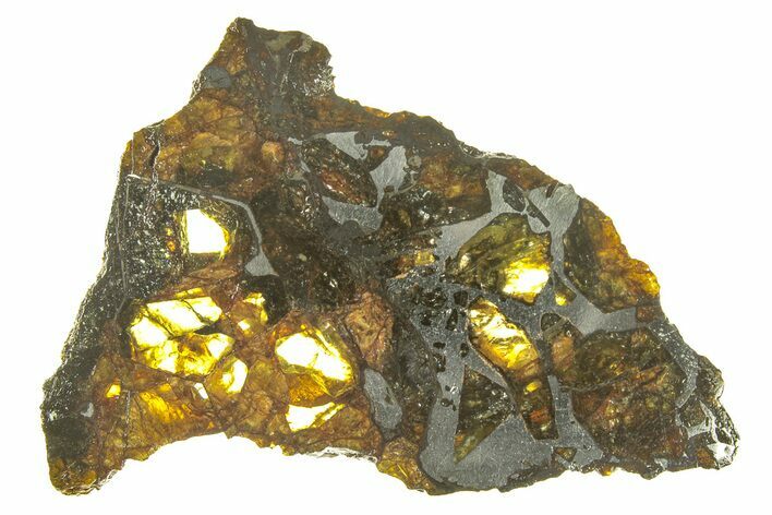 Polished Admire Pallasite Meteorite ( g) Slice - Kansas #261210